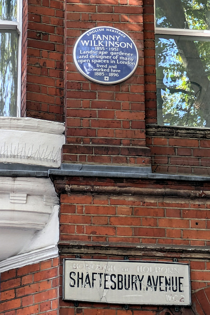 PXL 20241007 132402032-001-Fanny Wilkinson Plaque PXL 20241007 132402032-001-Fanny Wilkinson Plaque
