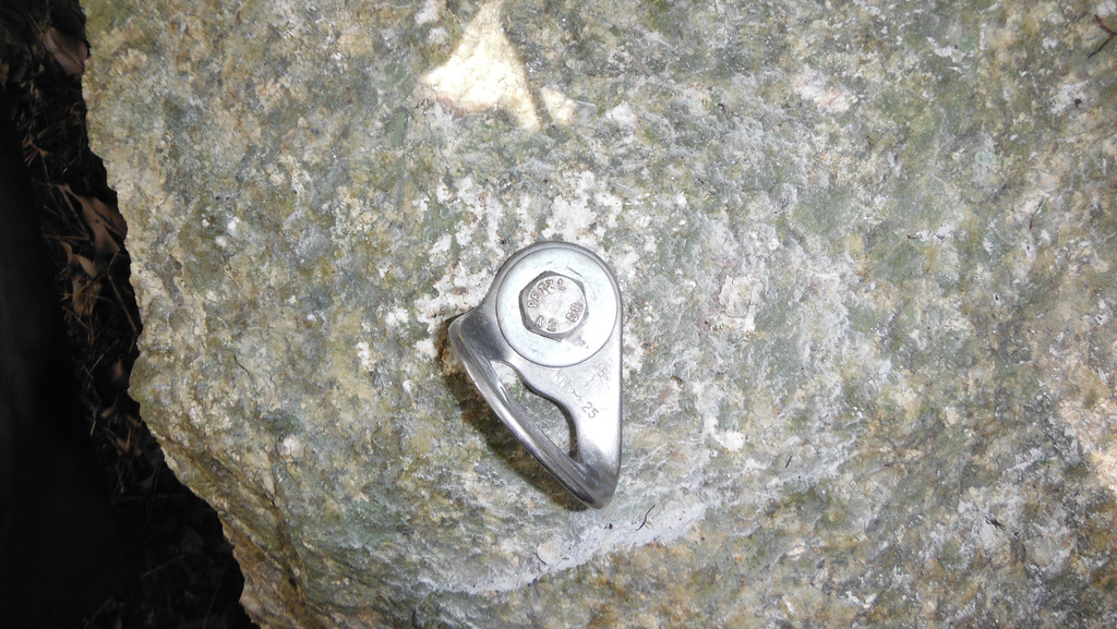 DSCF2950