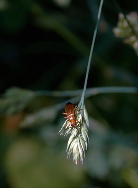 Hanging On!