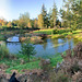 The Japanese Garden at the Burgie Arboretum