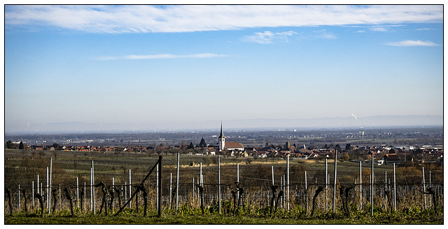 Spätwinter in "de Vorderpalz"