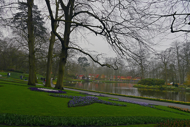 Blumen im Keukenhof