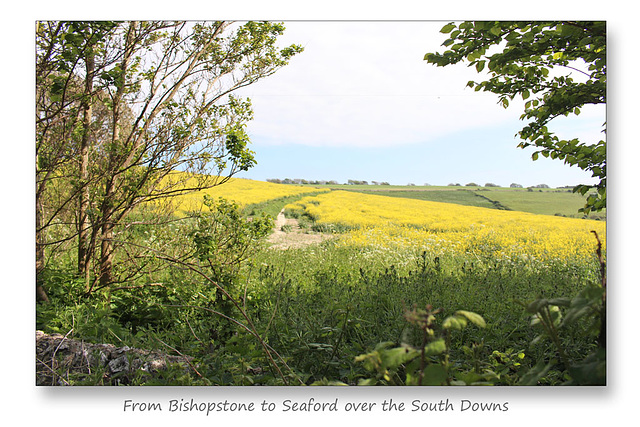 The path to Seaford - Bishopstone - 17.5.2016