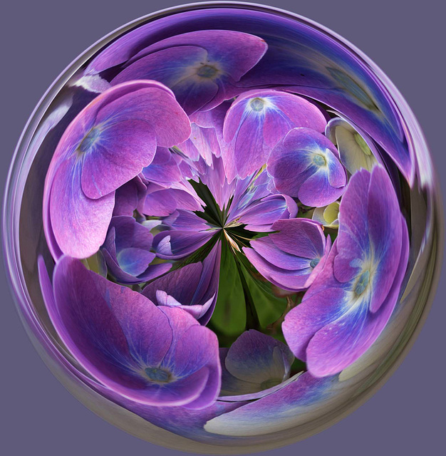 Flower orb 2