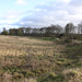 Danebury Iron Age Hillfort