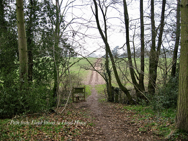 Footpath from Lloyd Wood to Lloyd House