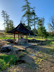 The Japanese Garden at the Burgie Arboretum