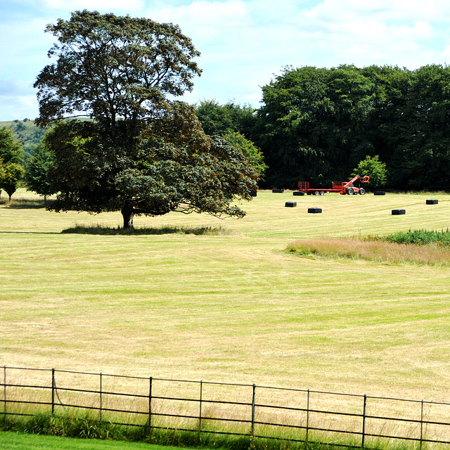 Farming in Wiltshire