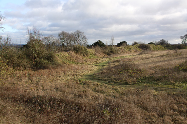 Danebury Iron Age Hillfort