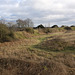 Danebury Iron Age Hillfort