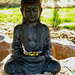 The Japanese Garden at the Burgie Arboretum