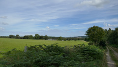 Looking over the fields at Blackhills Farm