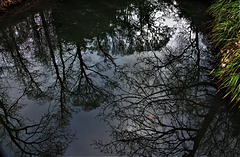 Looking Over The Bridge