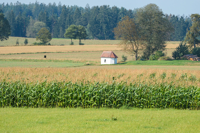 Wondreb, Feldkapelle