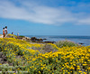 Pebble Beach 17 Mile Drive 001