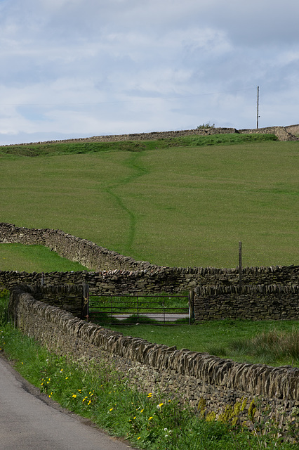 The path ahead