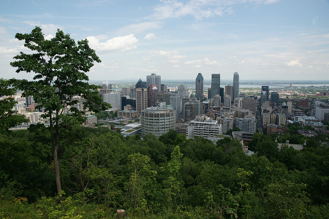 View Over Montreal