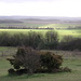 Danebury Iron Age Hillfort