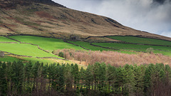 North side of Longdendale