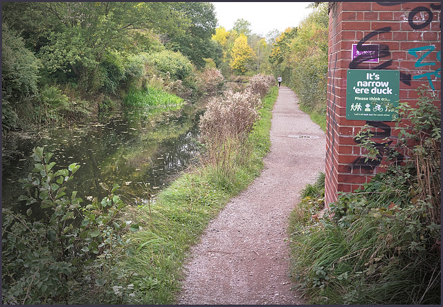 The Chesterfield canal - and towpath - and..... a narrow bit'