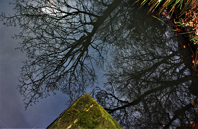 Looking Over The Bridge