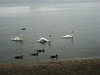 Spaziergang am Tegeler See