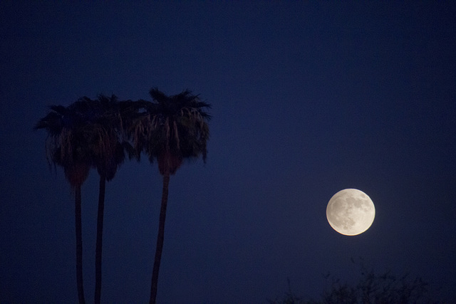 Partial eclipse of the Harvest moon, 9-17-24