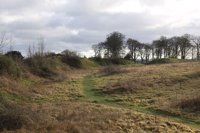 Danebury Iron Age Hillfort