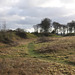 Danebury Iron Age Hillfort