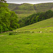 Kinder via Grindsbrook path