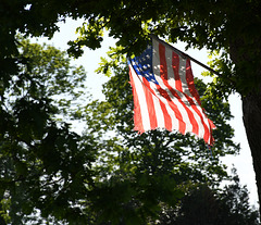 Stars  & Stripes