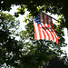 Stars  & Stripes