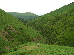 Ashes Hollow on the Long Mynd, Shropshire