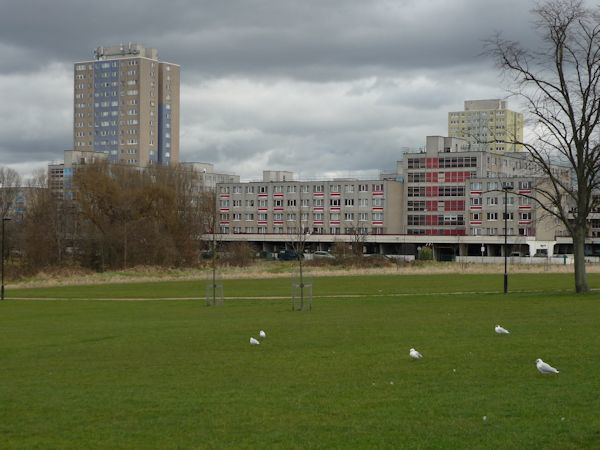 Looking across to Broadwater Farm