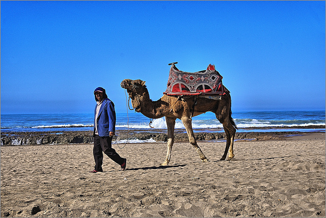 On the Beach of Tifnit