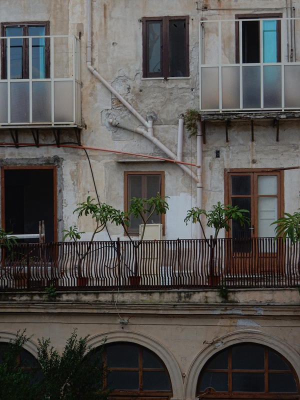 doors and windows