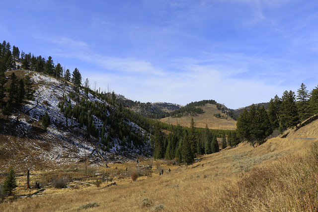 Yellowstone