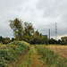 Feldweg Lüningstraße (Bottrop-Welheim) / 20.10.2021