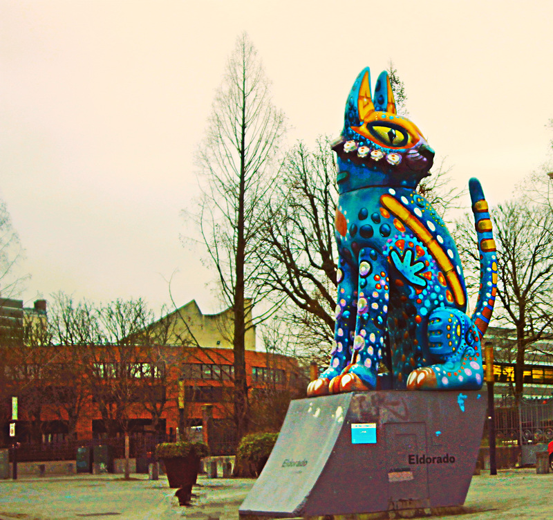 El Gato de Roubaix.