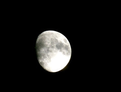 Aujourd'hui 12 Novembre , la lune est croissante et très visible , ce soir . La pleine lune du Castor aura lieu le 15 novembre .