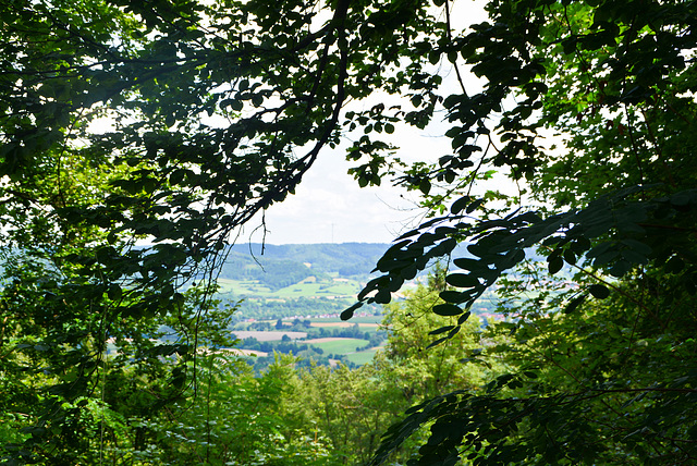 Blick zum Limpurger Bergen