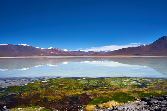 Lago Verde , Chaxas_Chile