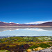 Lago Verde , Chaxas_Chile