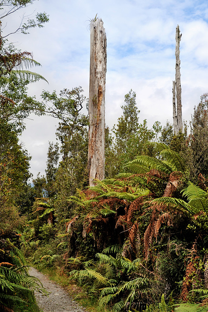 New Zealand New Zealand