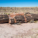 The Petrified Forest15, Arizona