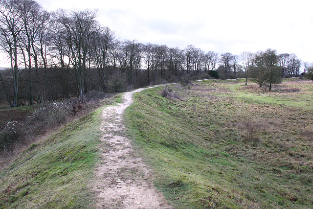 Danebury Iron Age Hillfort