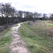 Danebury Iron Age Hillfort