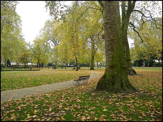 autumn in the park