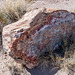 The Petrified Forest16, Arizona