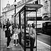 Piccadilly circus